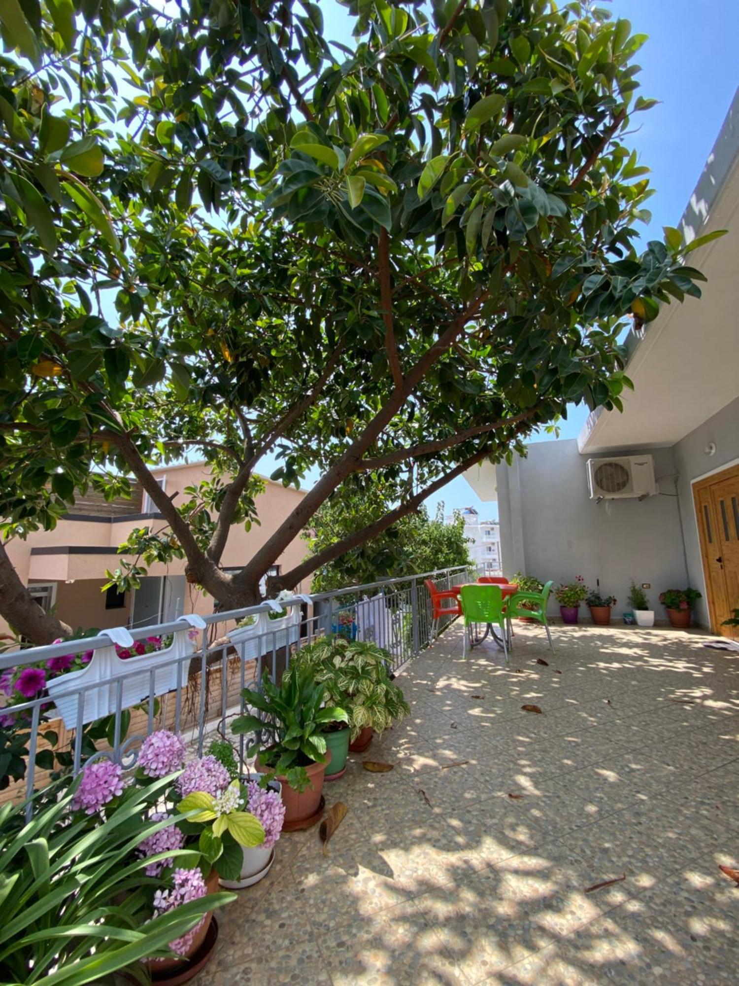 Albi'S Guesthouse Εξαμίλιο Εξωτερικό φωτογραφία