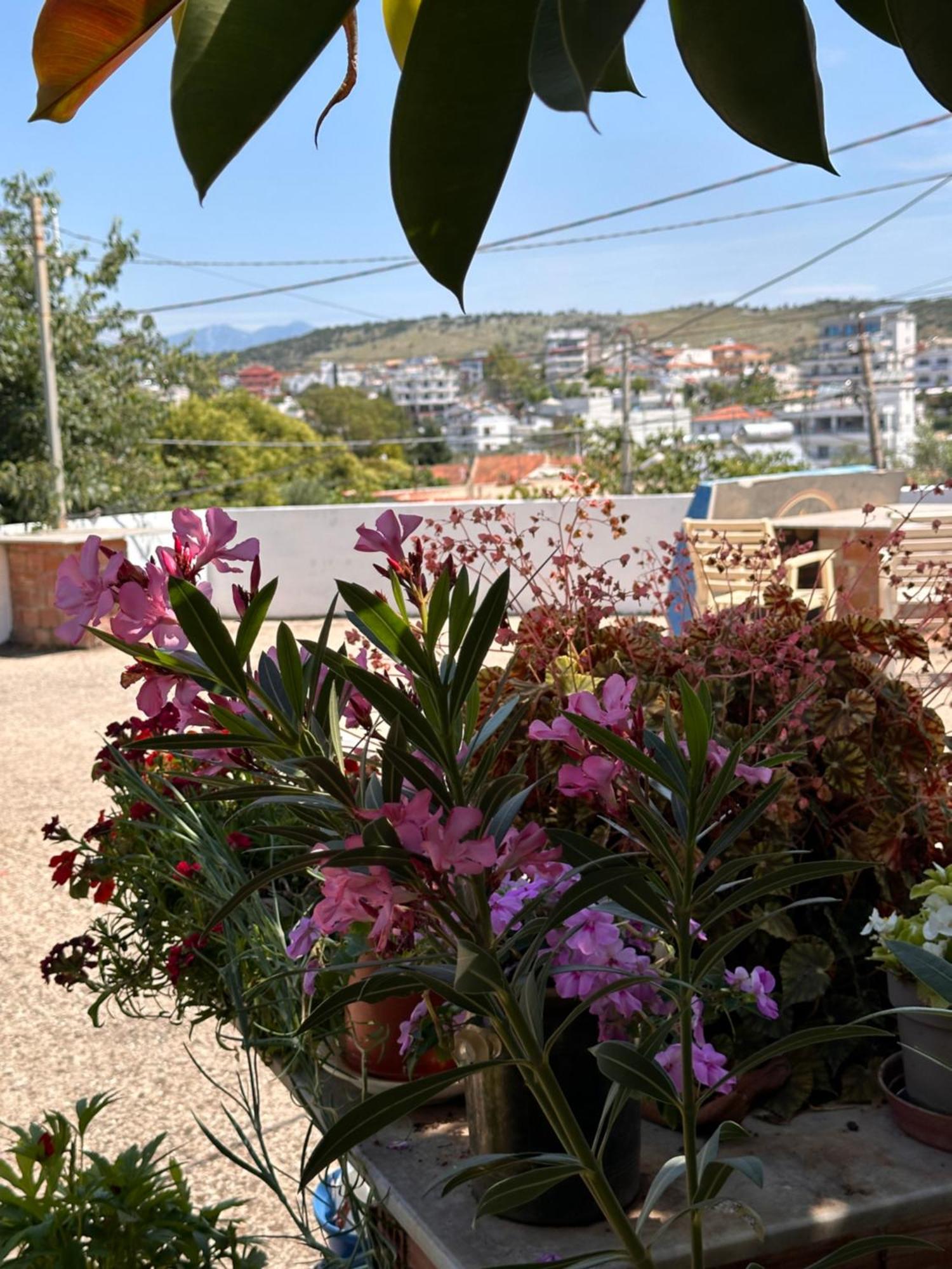 Albi'S Guesthouse Εξαμίλιο Εξωτερικό φωτογραφία