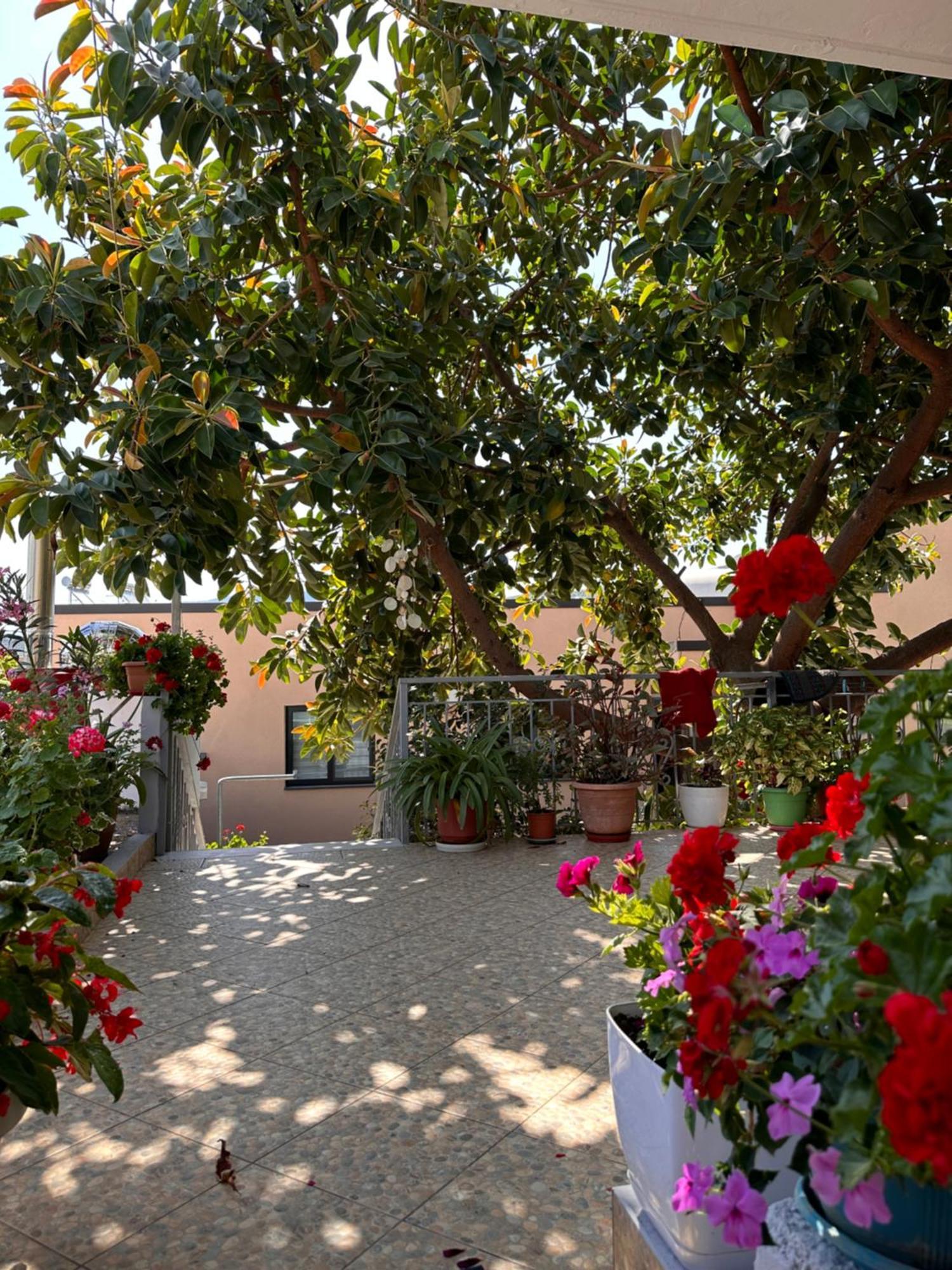 Albi'S Guesthouse Εξαμίλιο Εξωτερικό φωτογραφία