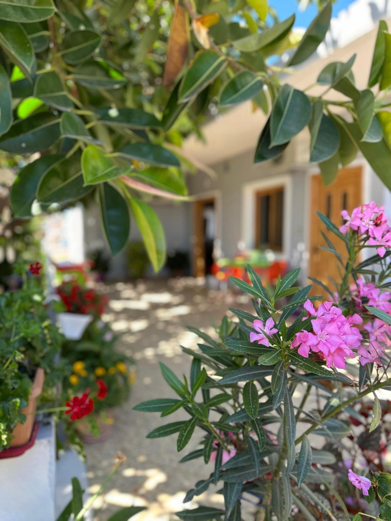 Albi'S Guesthouse Εξαμίλιο Εξωτερικό φωτογραφία
