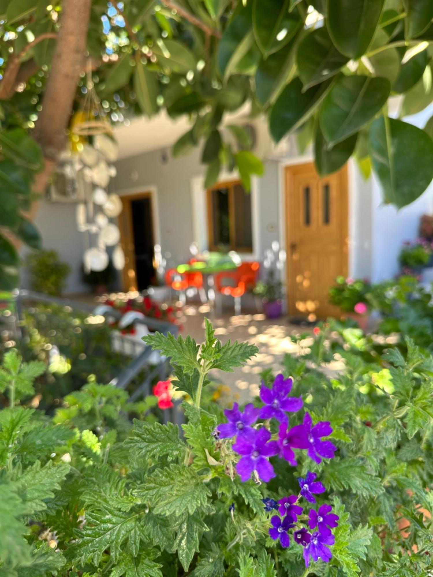 Albi'S Guesthouse Εξαμίλιο Εξωτερικό φωτογραφία