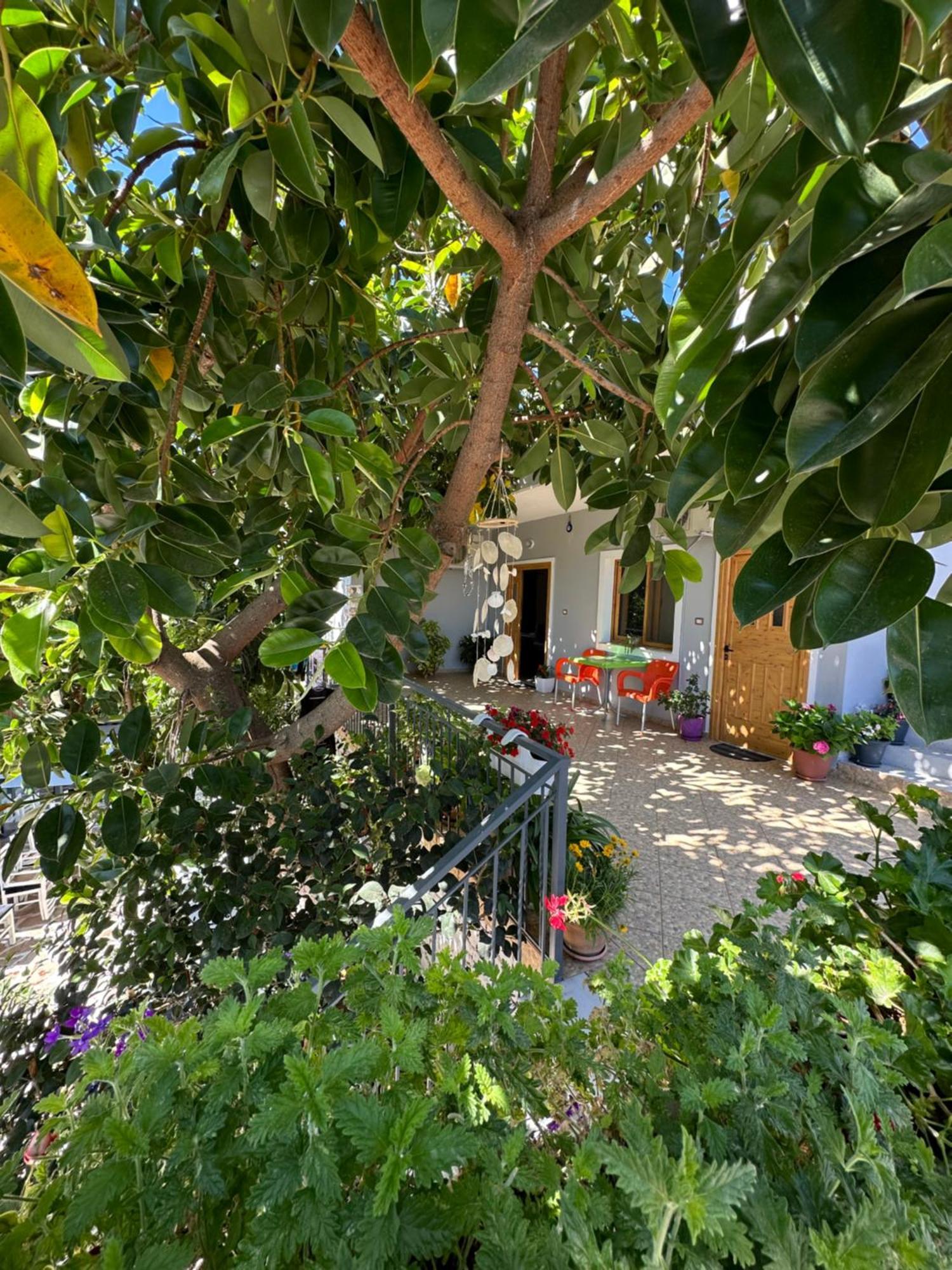 Albi'S Guesthouse Εξαμίλιο Εξωτερικό φωτογραφία