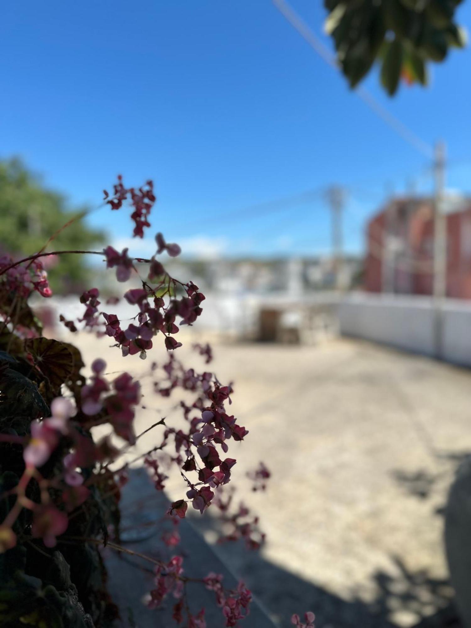 Albi'S Guesthouse Εξαμίλιο Εξωτερικό φωτογραφία